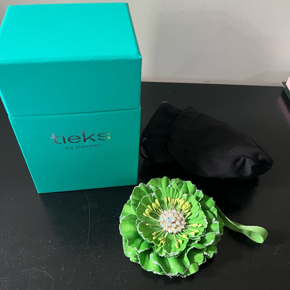 Tieks box with accessories